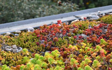 the cost of Waldershaigh green roof installation