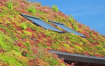 Waldershaigh living roof systems