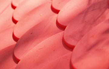 Waldershaigh plastic roof costs