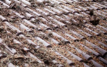 Waldershaigh roof cleaning companies